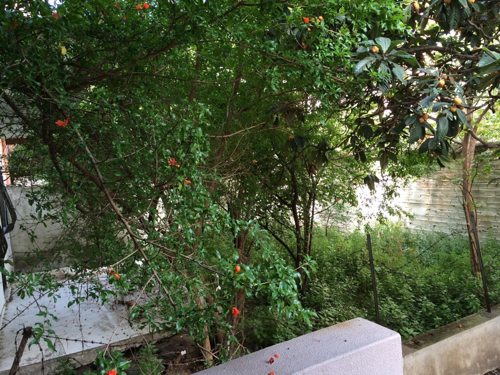 Konakli İzmir